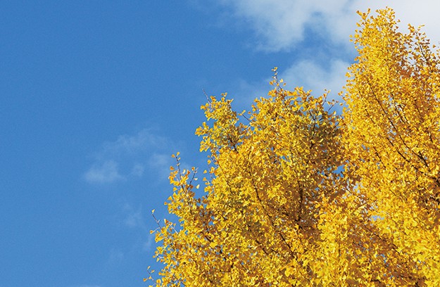 校納金 高等学校